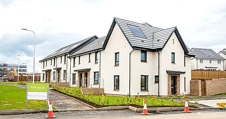 Newly built houses for sale in a housing development